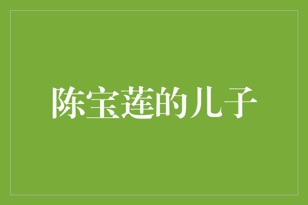 探寻陈宝莲儿子的不为人知的故事