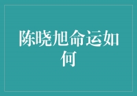 陈晓旭：一个命运的奇迹