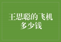 揭秘王思聪私人飞机：豪华品味与奢华价格的完美结合