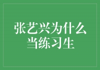 张艺兴：追寻梦想的练习生之路