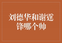 帅气对决：刘德华VS谢霆锋，谁才是真正的帅哥？