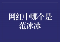 网红界的范冰冰：谁才是最具影响力的明星？