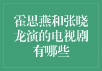 霍思燕和张晓龙演绎的精彩电视剧盘点