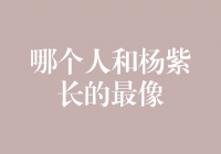 找寻杨紫的相似之人