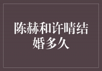 陈赫和许晴：爱情的坚持和幸福的见证