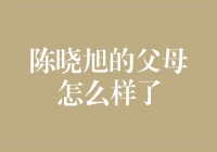 陈晓旭的父母：一个坚强的家庭的故事