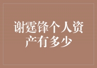 谢霆锋个人资产揭秘：财富背后的努力与智慧