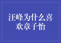 音乐与电影的奇妙结合：揭秘汪峰为何钟情于章子怡