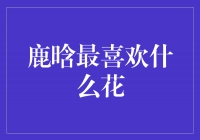 揭秘鹿晗最喜欢的花卉种类