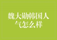 揭秘魏大勋：韩国人气如何悄然攀升？