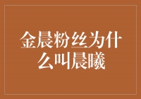 揭秘金晨粉丝的昵称“晨曦”的由来