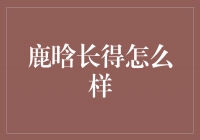 揭秘鹿晗的绝美容颜