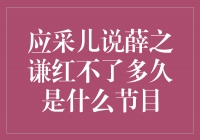 应采儿点评薛之谦：红不了多久？——解读综艺节目中的言论争议