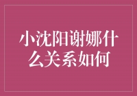 小沈阳与谢娜的关系揭秘，亲密友谊背后的故事