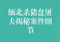 揭秘缅北杀猪盘屠夫案件：血腥秘闻引发关注