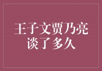 王子文与贾乃亮的长谈：探寻真爱的困惑与坚守