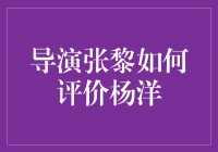 从导演张黎的角度看杨洋的才华与魅力