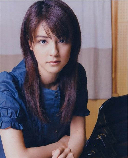 　藤井美菜的演艺经历