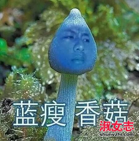 蓝瘦香菇是什么梗？蓝瘦香菇为什么会火？ 蓝瘦香菇是什么意思