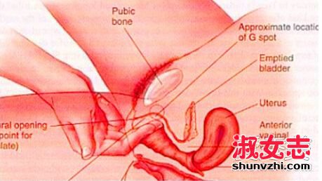 阴蒂高潮和G点高潮是怎么回事？女性常见的7种高潮表现 女性健康