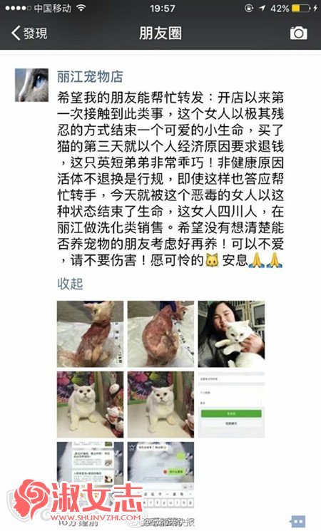 丽江一女子剥皮杀害宠物猫 虐猫女子张蓝燕被网友人肉