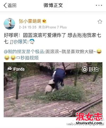 王思聪认养的熊猫为什么叫萌七？是跟张小蒙示爱吗？ 王思聪女友张小蒙