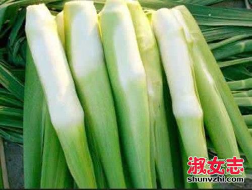 篙芭不能和什么一起吃 篙芭和什么食物相克