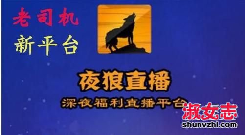 夜狼映拍哪个房间尺度大 夜狼映拍跟夜狼直播一样吗