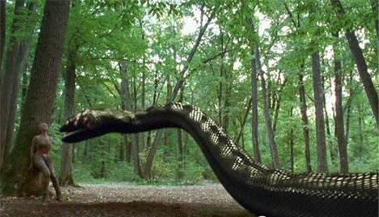 蟒蛇电影巨蟒 关于蟒蛇的电影大盘点
