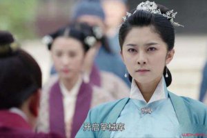 锦衣之下祁夫人扮演者奚美丽资料